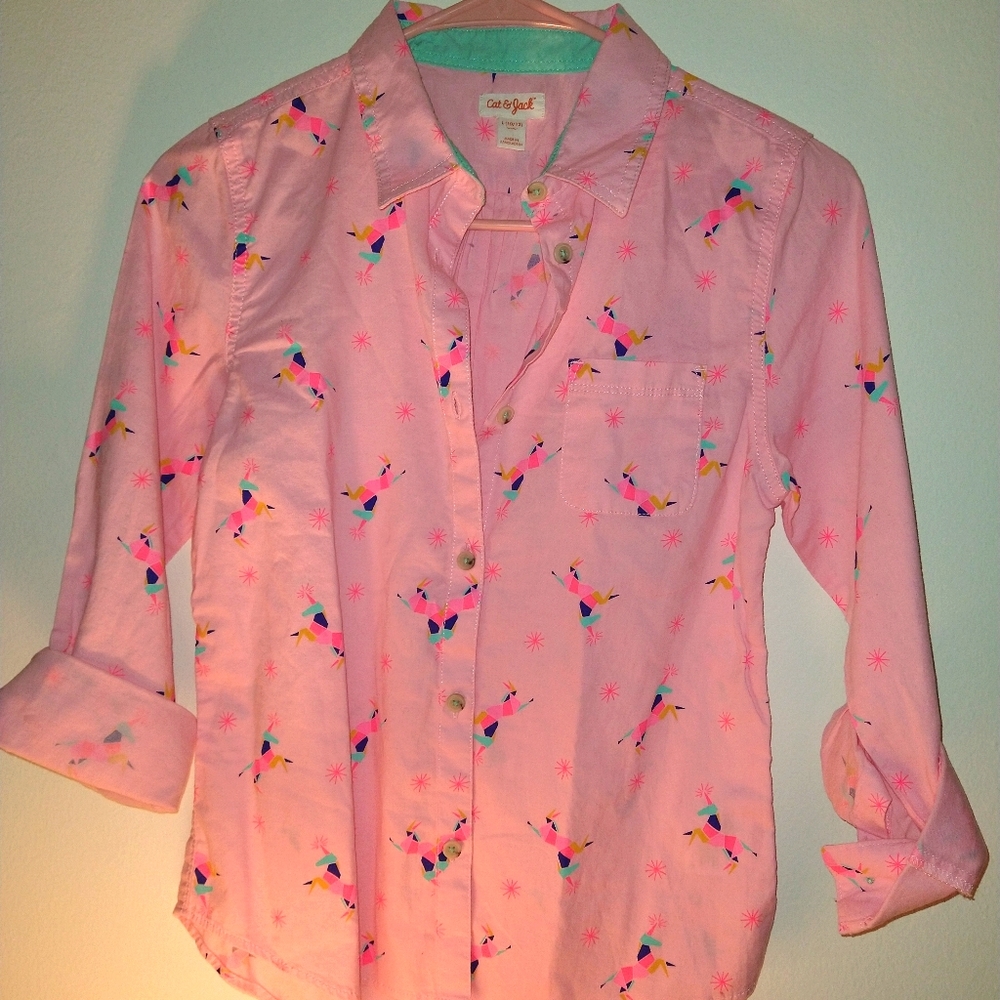 Pink button up dress shirt